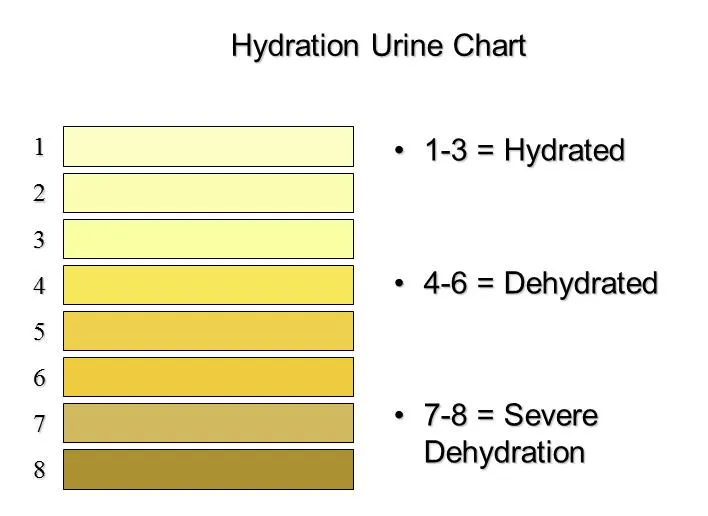 Hydration urine colour chart: shades 1 to 3 hydrated, 4 to 6 dehydrated, 7 to 8 severely dehydrated